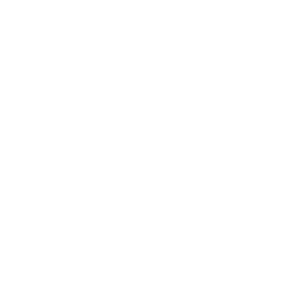 Water Pig BBQ Water Pig BBQ